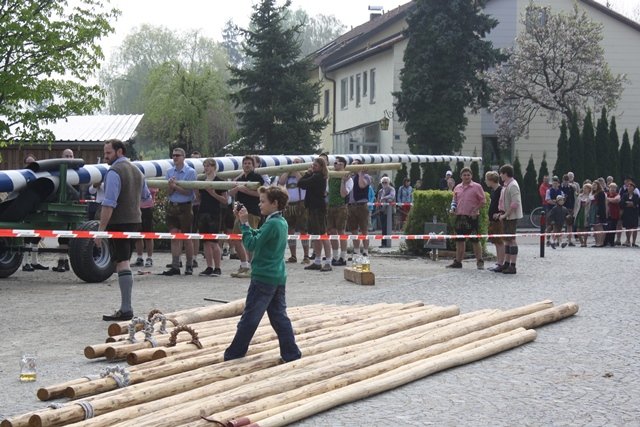 Maibaum 2013
